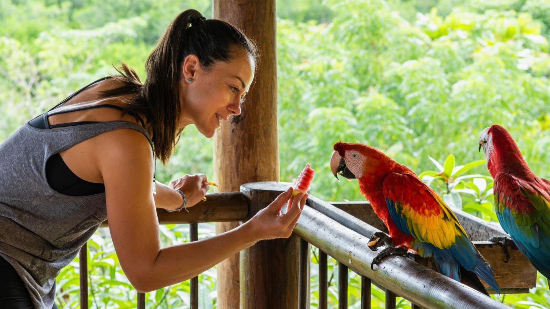 Aite Eco Resort Palomino Ngoại thất bức ảnh
