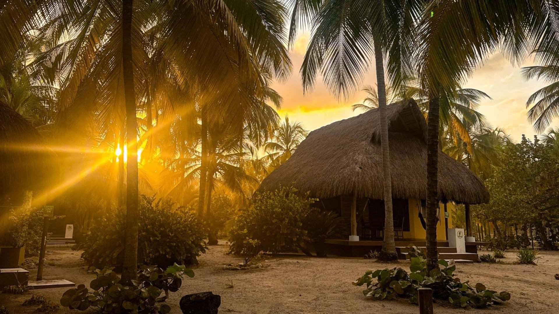 Aite Eco Resort Palomino Ngoại thất bức ảnh